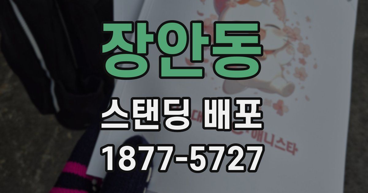 장안동 스탠딩 배포
