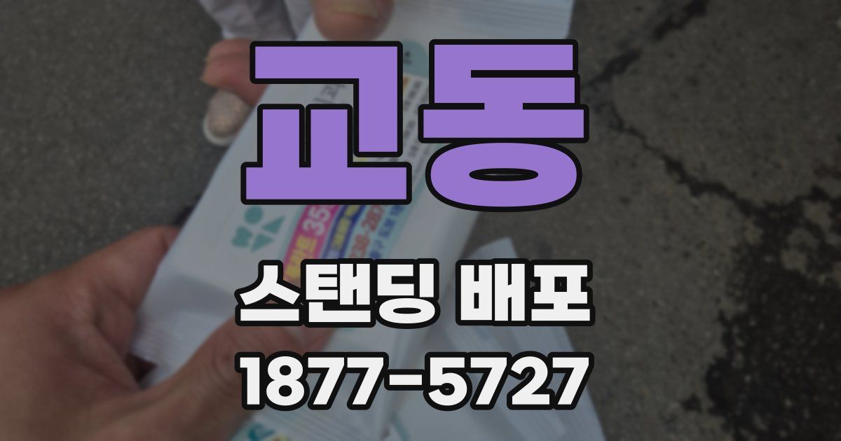 교동 스탠딩 배포