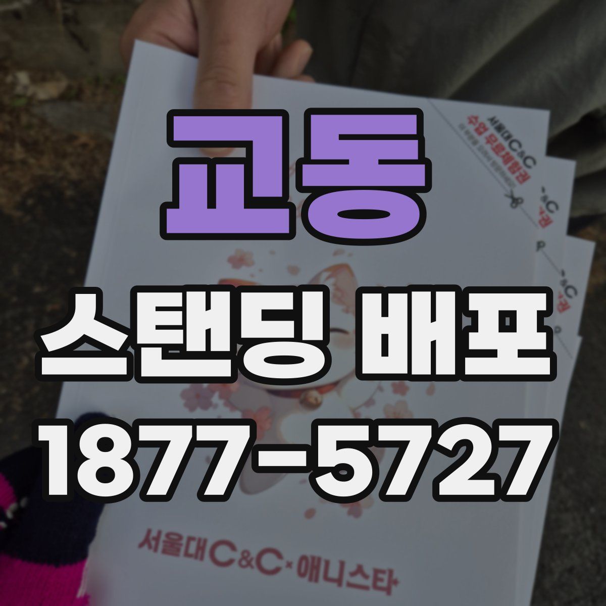 교동 스탠딩 배포