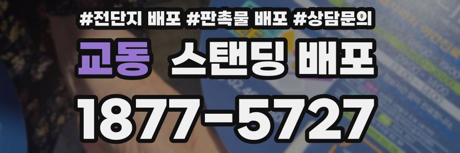 교동 스탠딩 배포