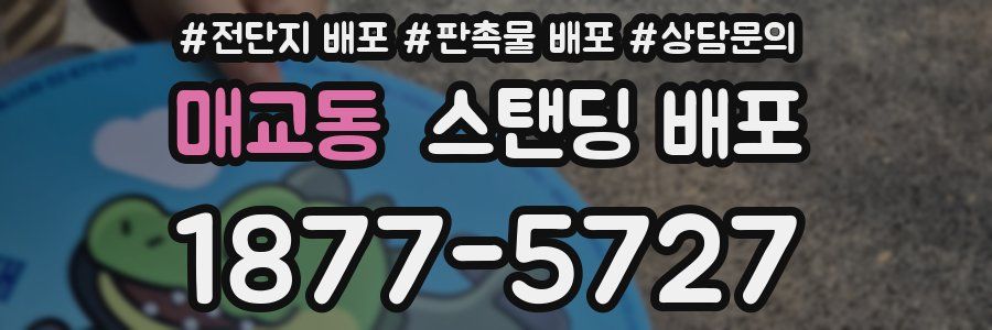 매교동 스탠딩 배포