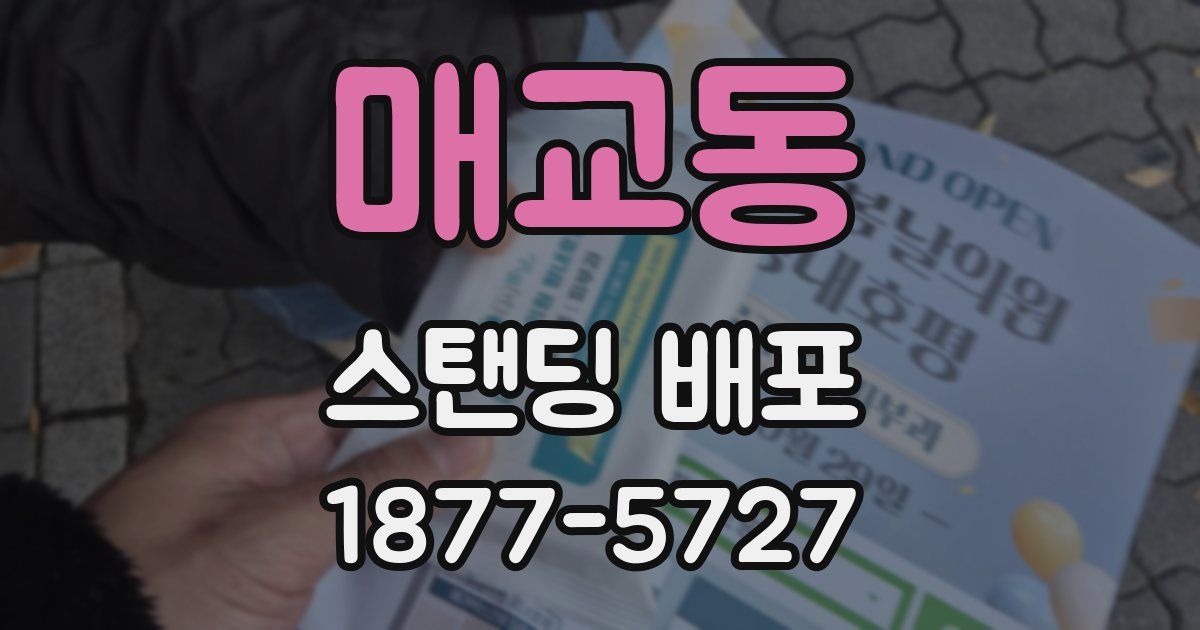 매교동 스탠딩 배포