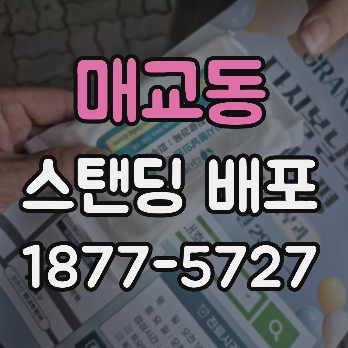 매교동 스탠딩 배포