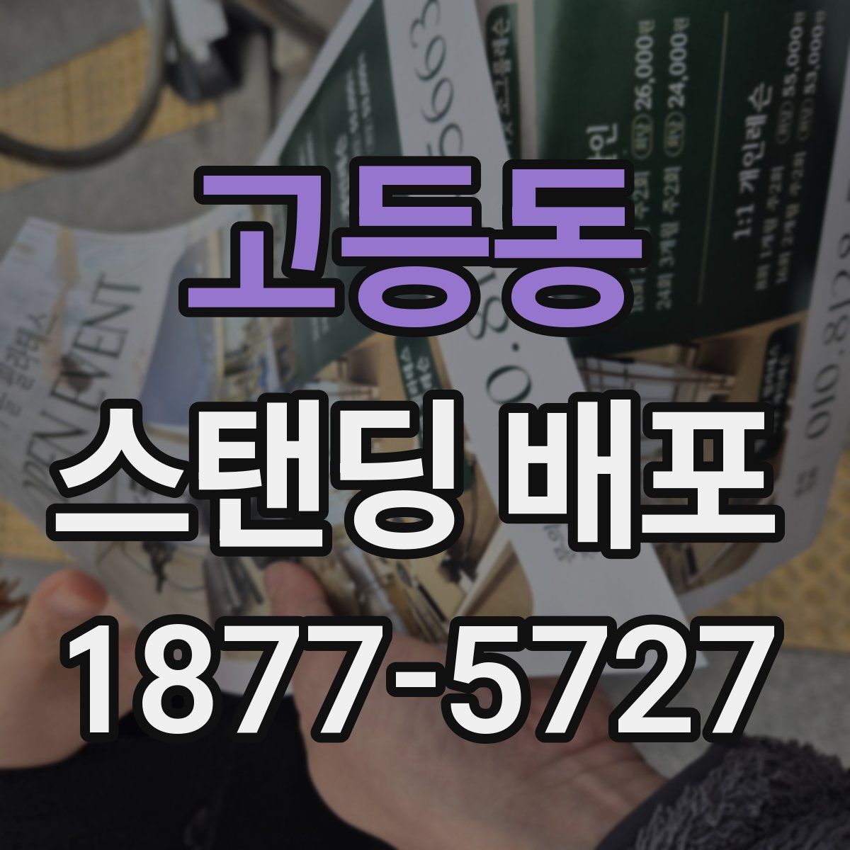 고등동 스탠딩 배포