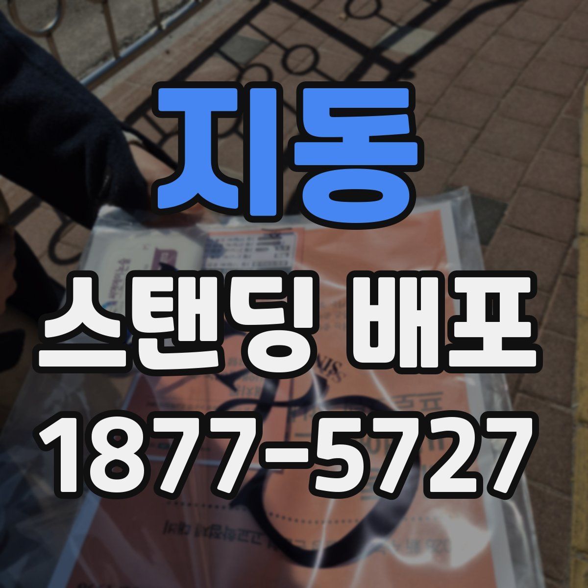 지동 스탠딩 배포