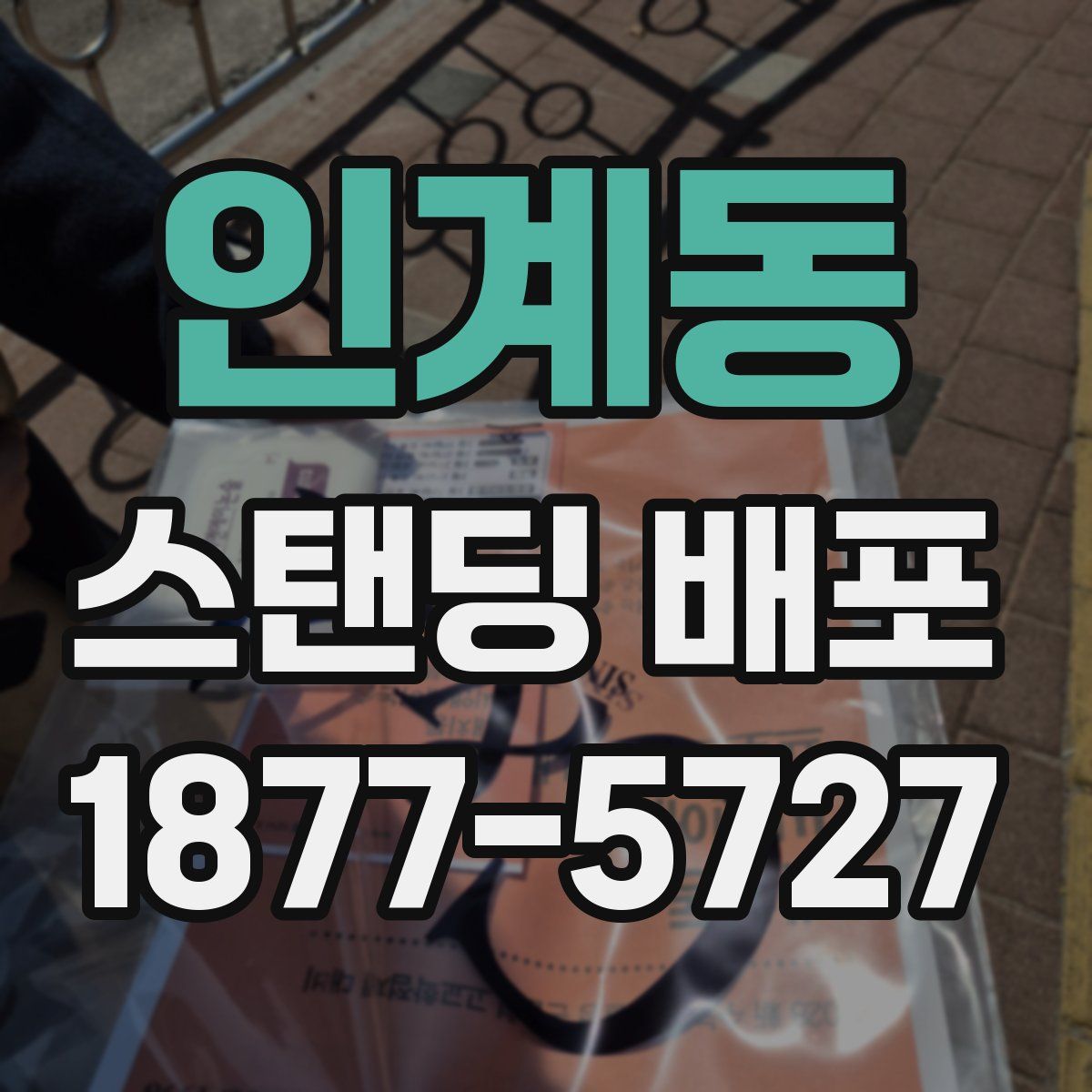 인계동 스탠딩 배포