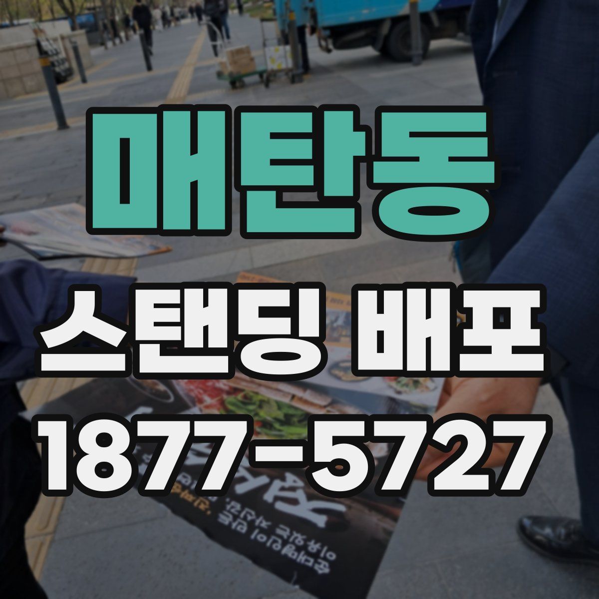 매탄동 스탠딩 배포