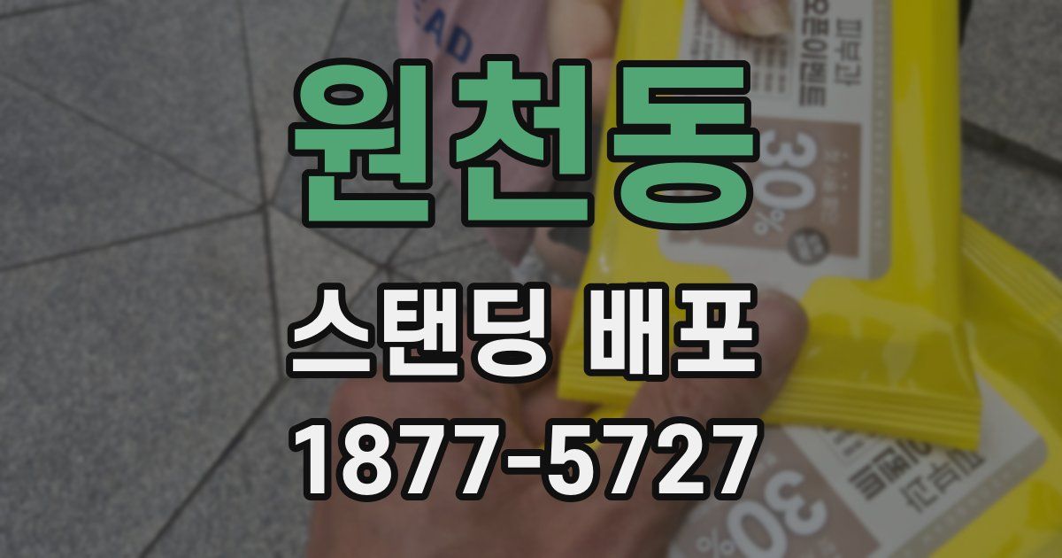 원천동 스탠딩 배포