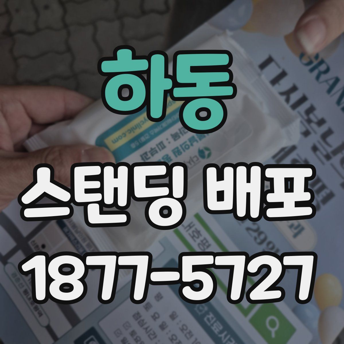 하동 스탠딩 배포