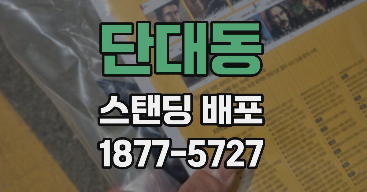 단대동 스탠딩 배포