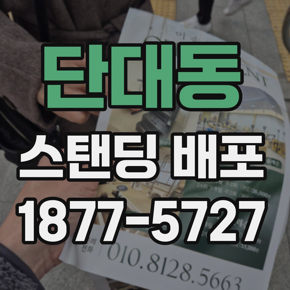 단대동 스탠딩 배포