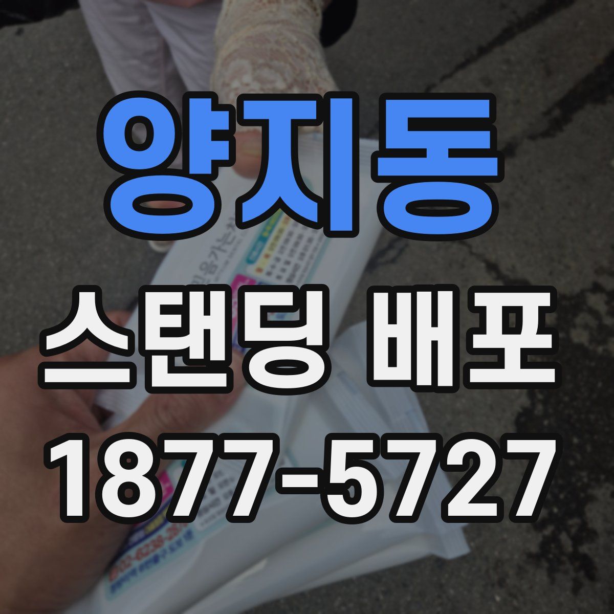 양지동 스탠딩 배포