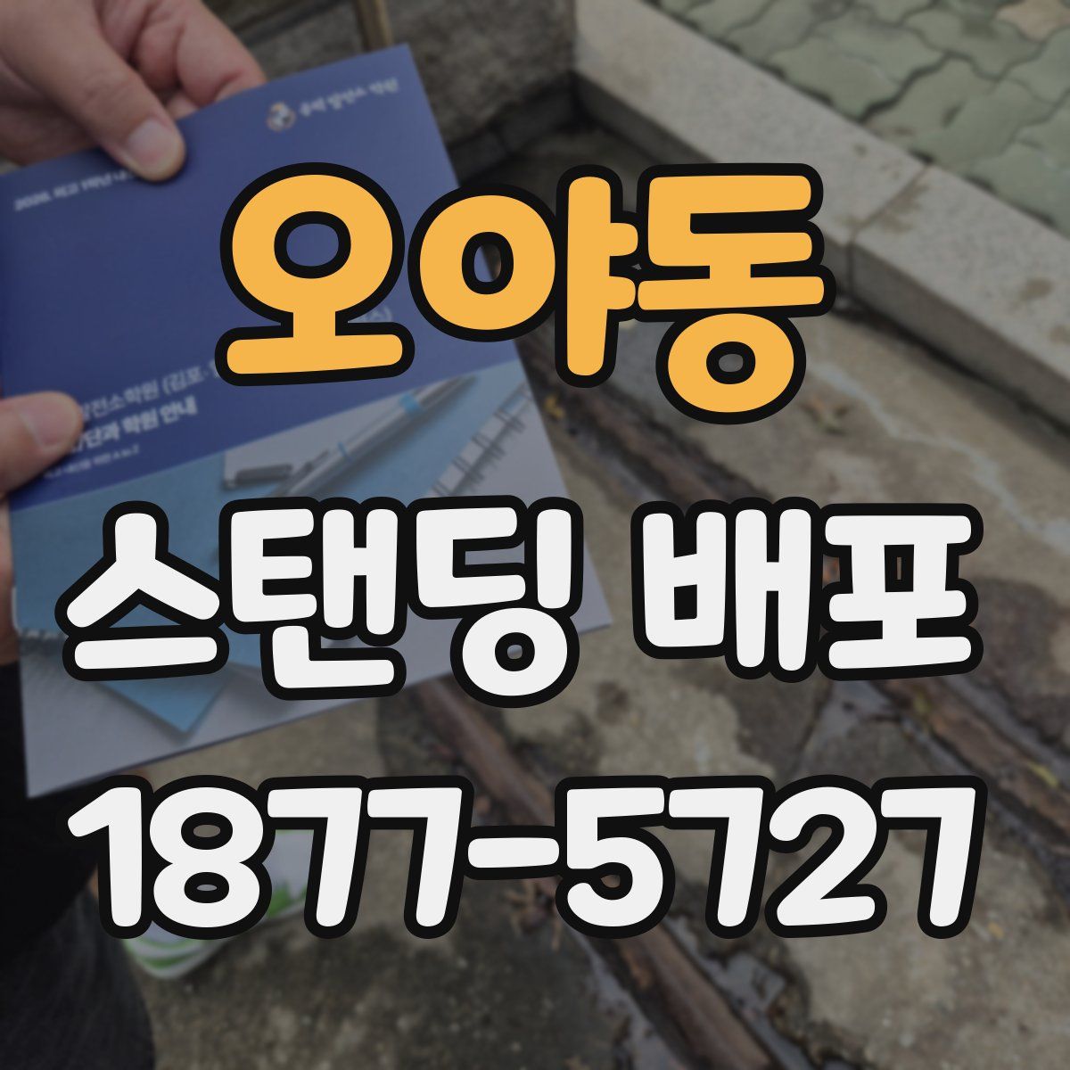 오야동 스탠딩 배포
