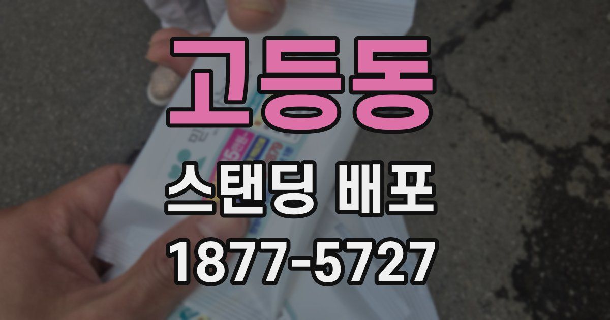 고등동 스탠딩 배포