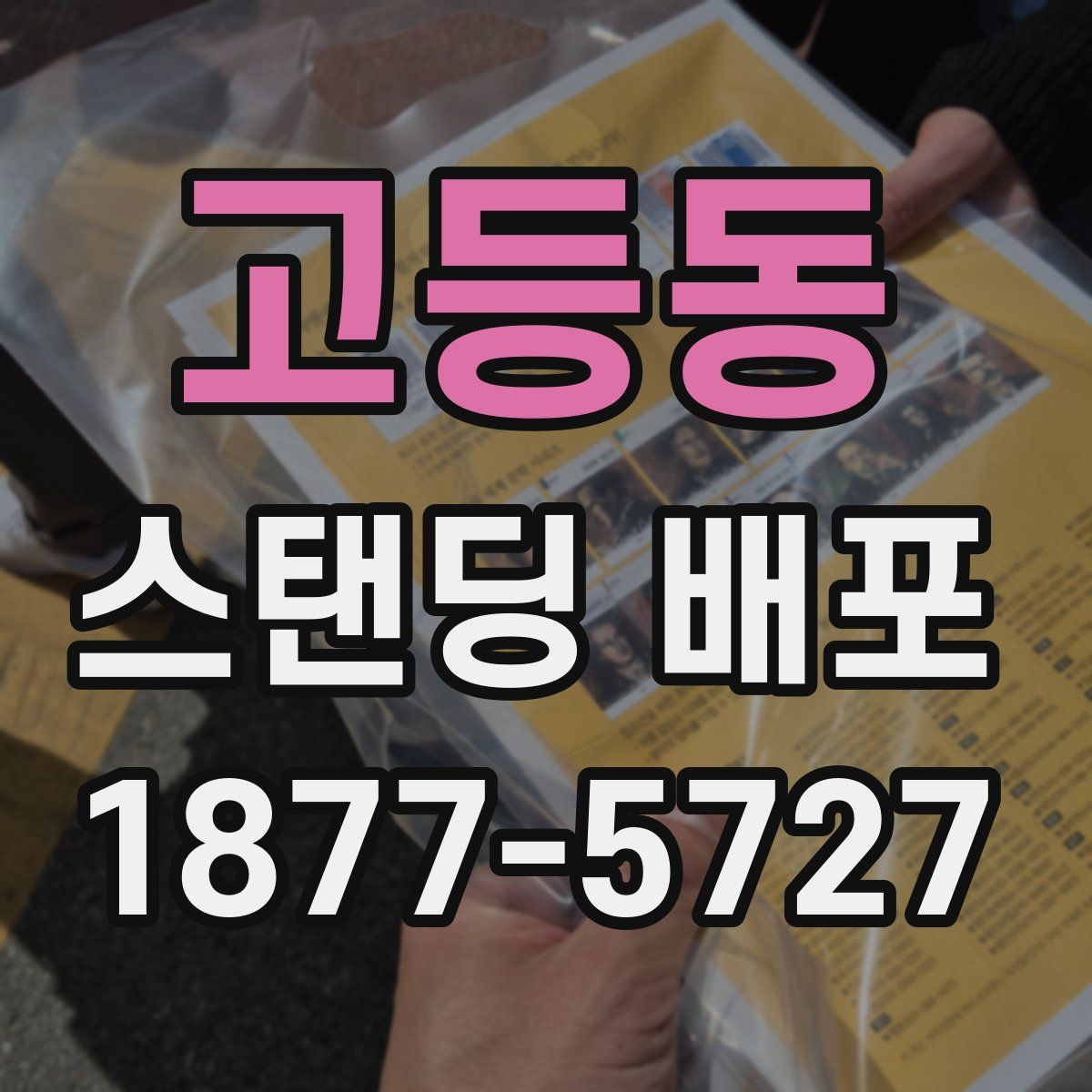 고등동 스탠딩 배포