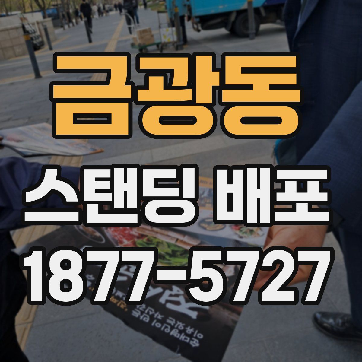 금광동 스탠딩 배포