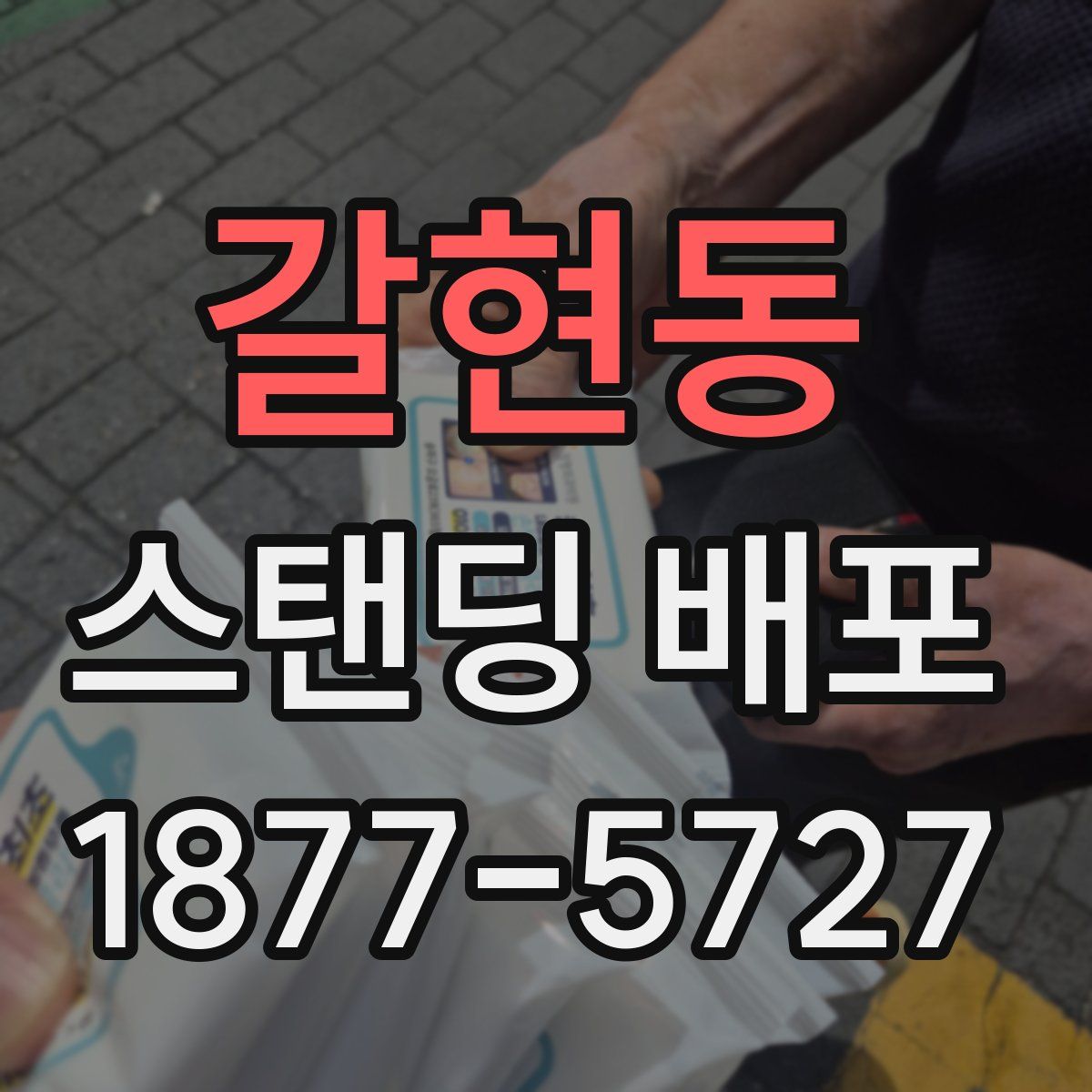 갈현동 스탠딩 배포