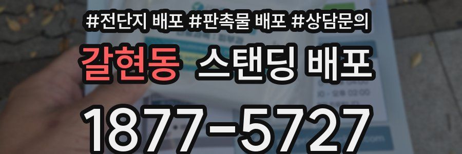 갈현동 스탠딩 배포