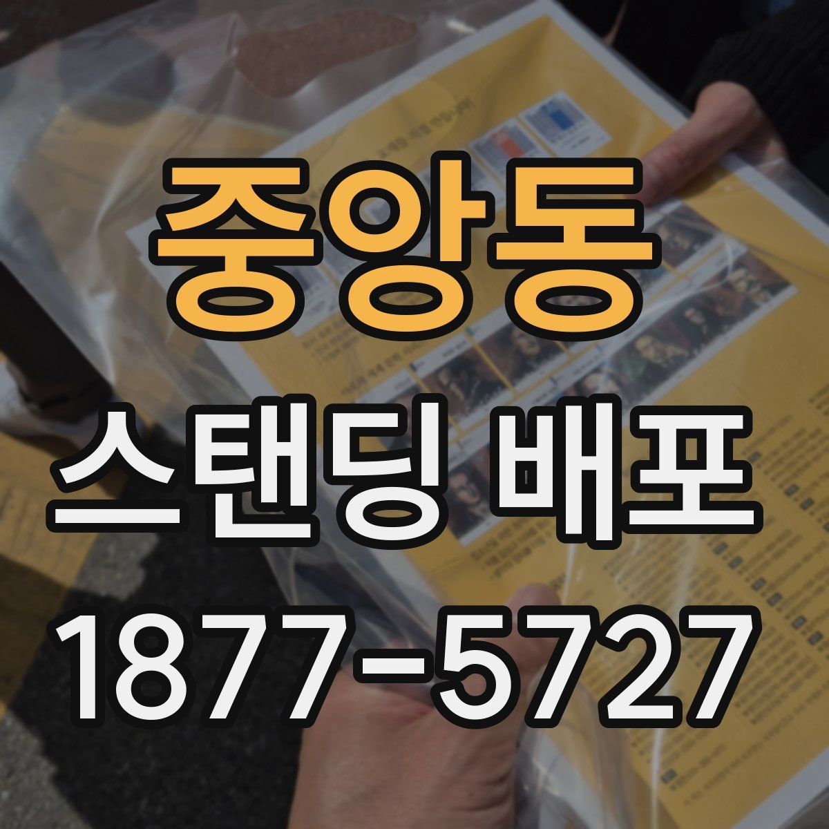 중앙동 스탠딩 배포