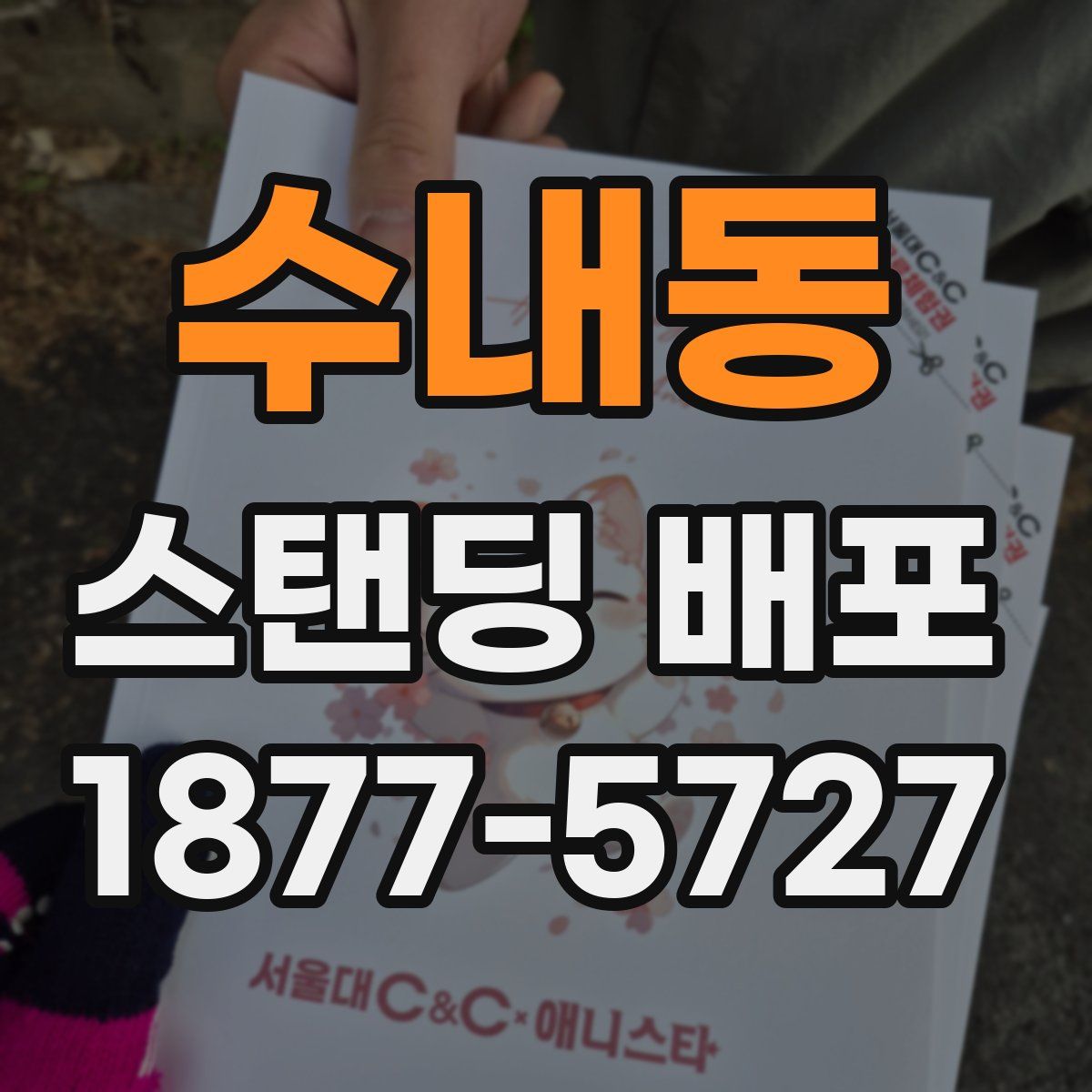 수내동 스탠딩 배포
