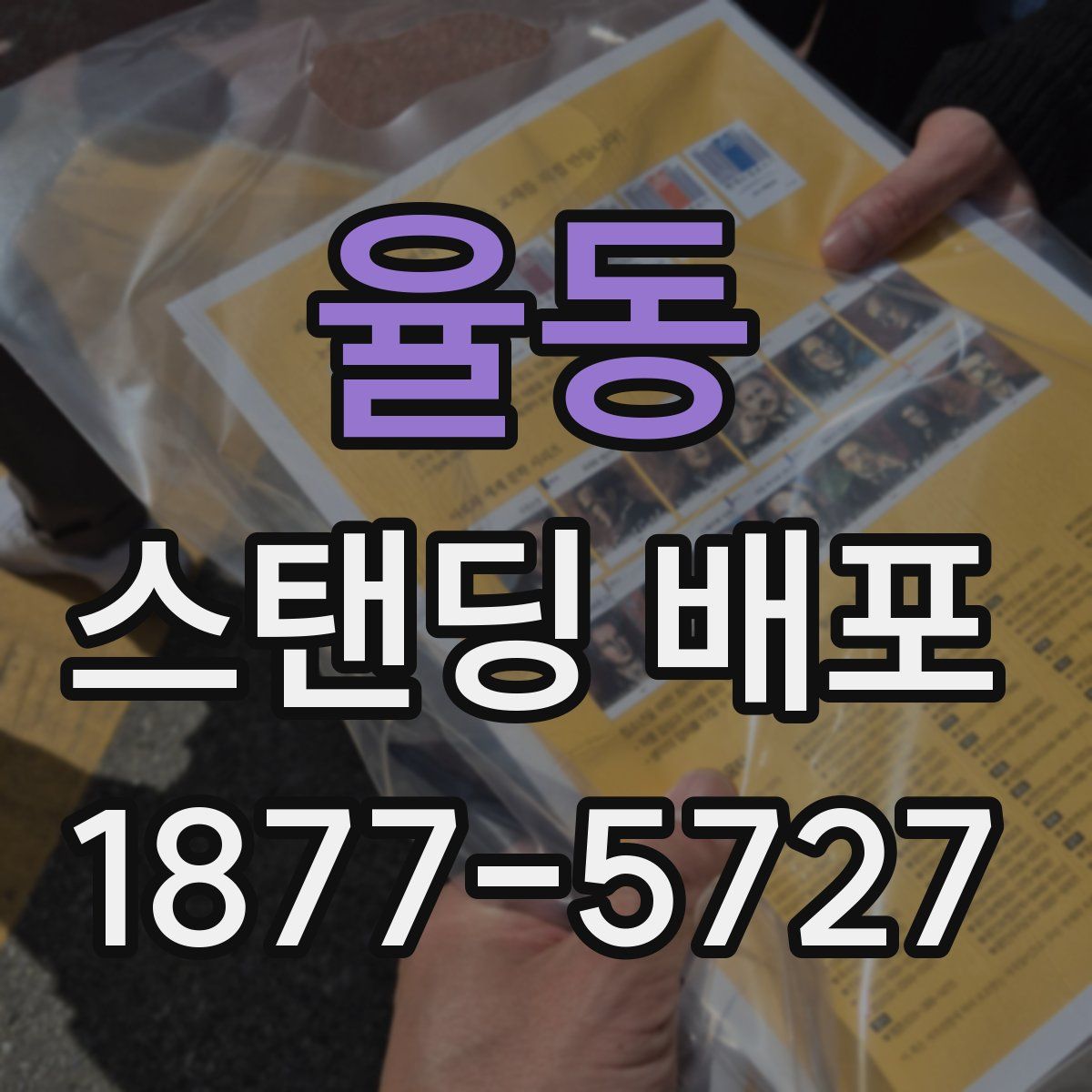 율동 스탠딩 배포