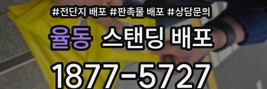 율동 스탠딩 배포