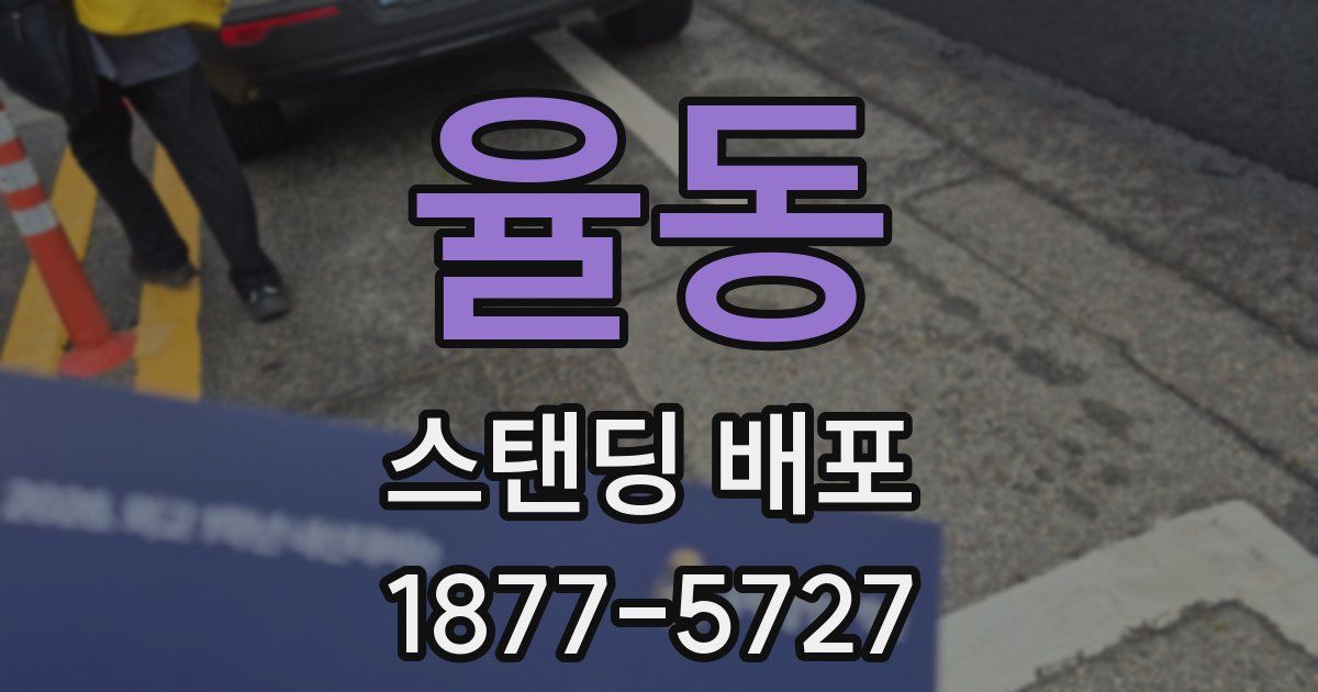 율동 스탠딩 배포