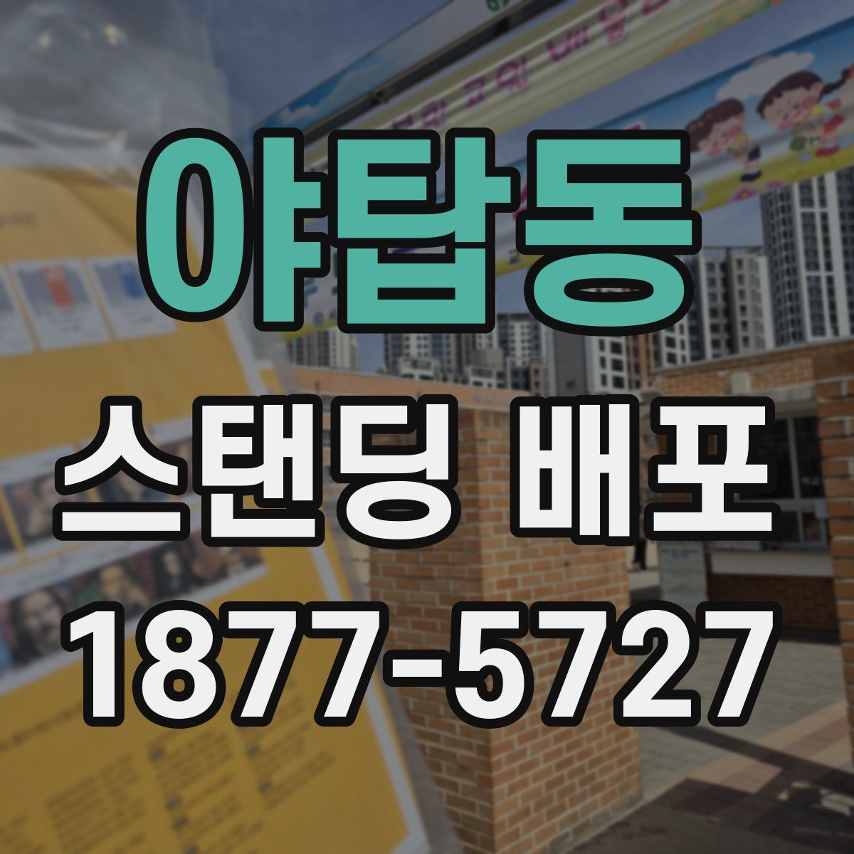 야탑동 스탠딩 배포