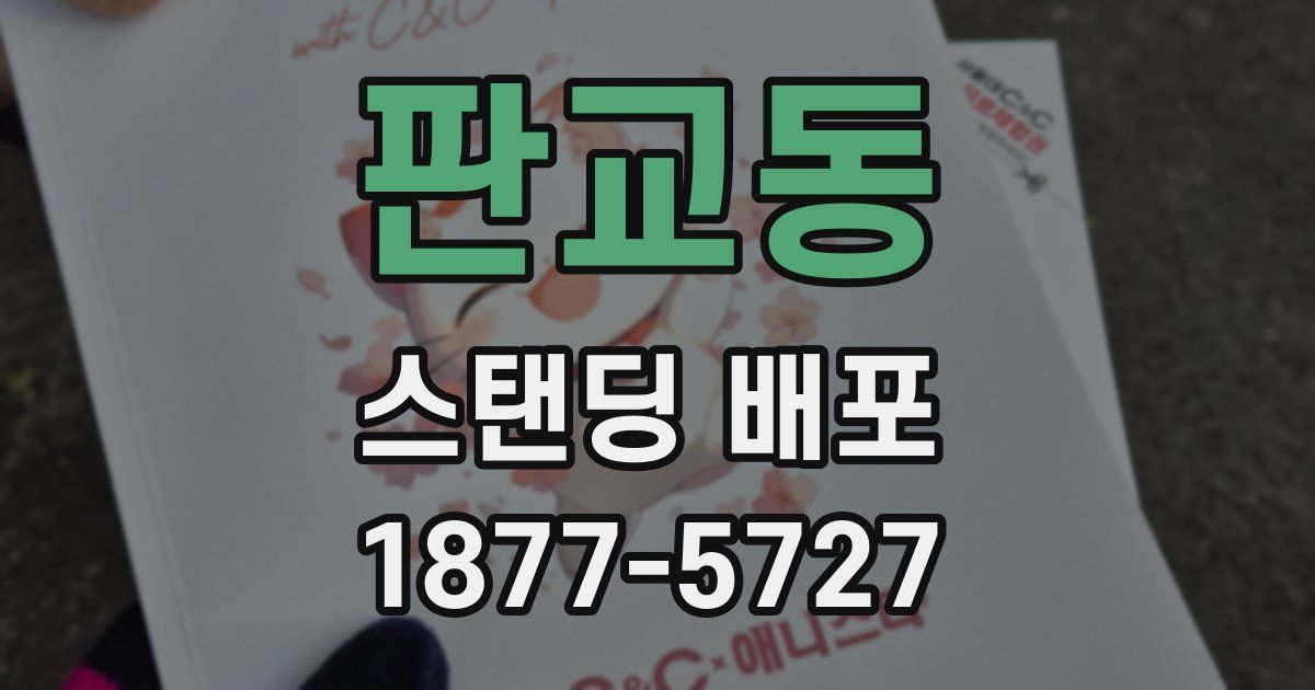 판교동 스탠딩 배포