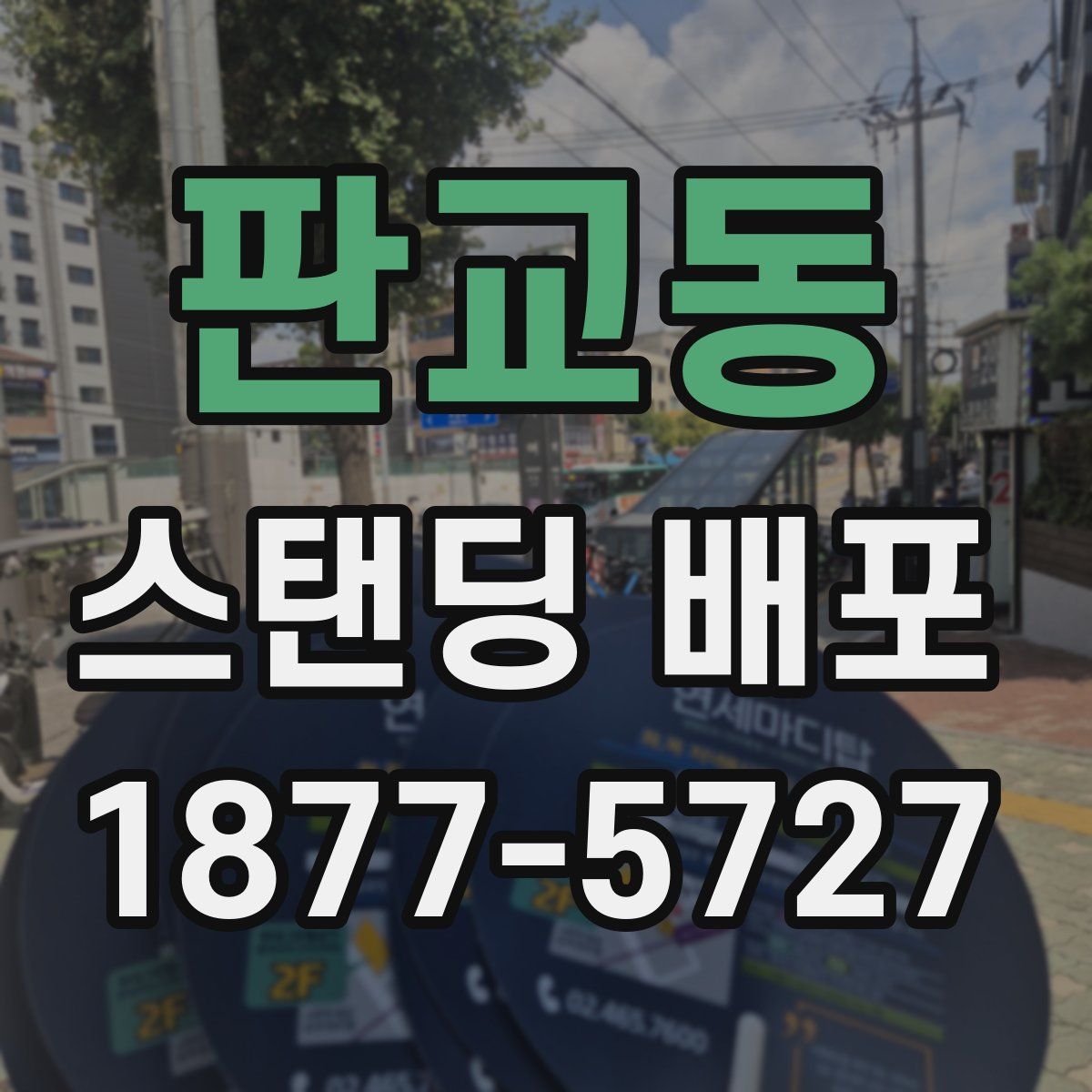 판교동 스탠딩 배포