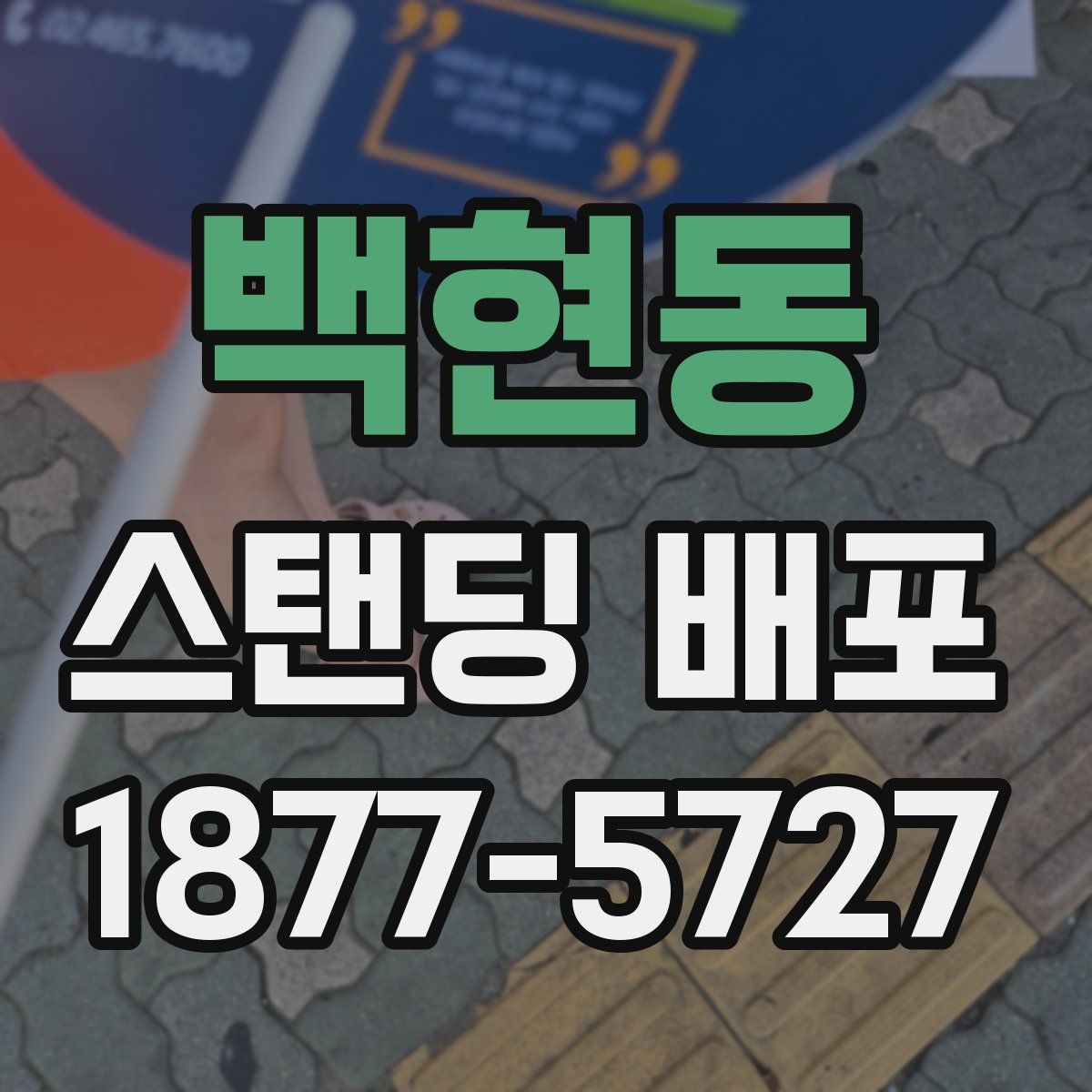 백현동 스탠딩 배포