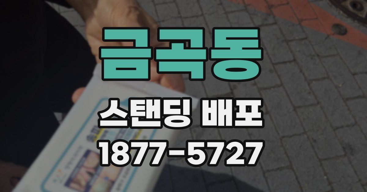 금곡동 스탠딩 배포
