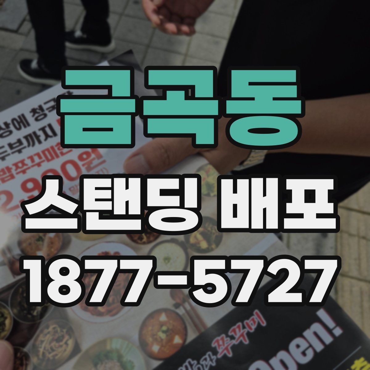 금곡동 스탠딩 배포