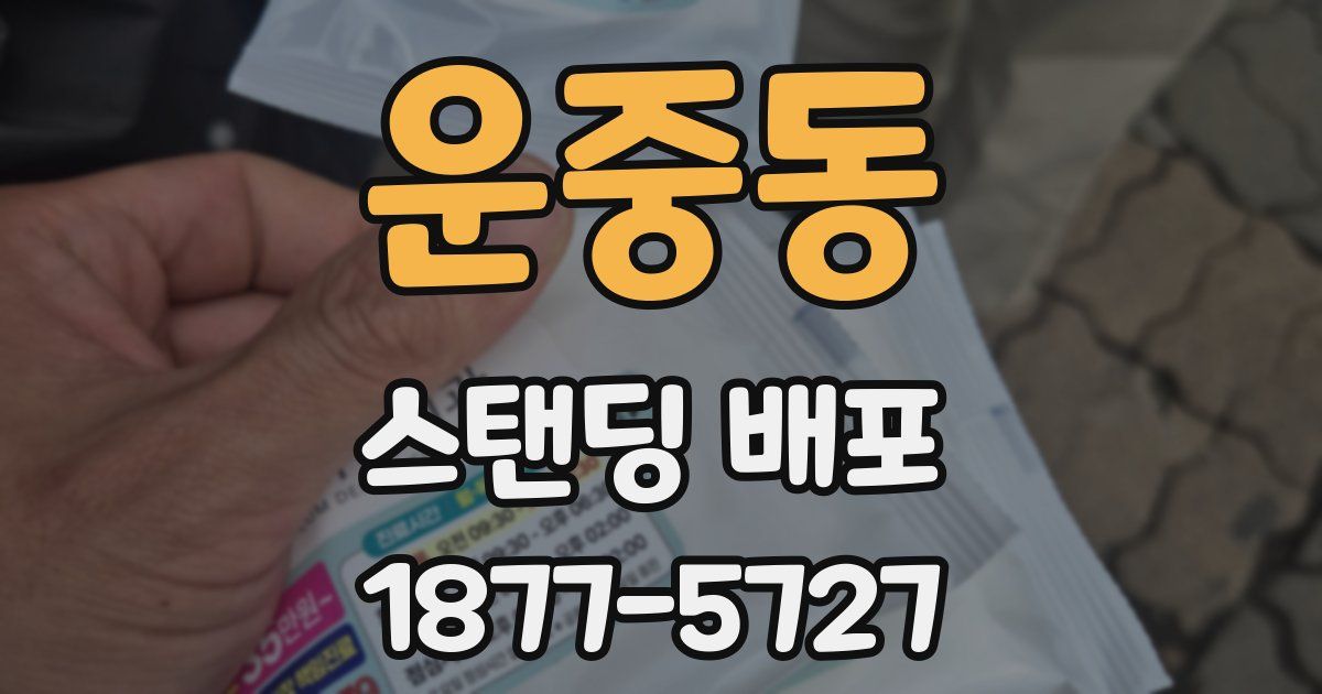 운중동 스탠딩 배포