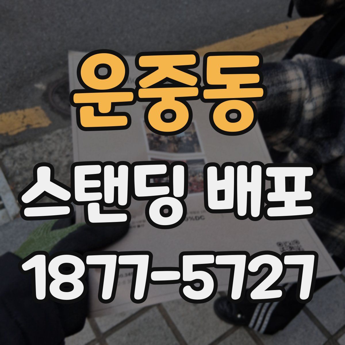 운중동 스탠딩 배포