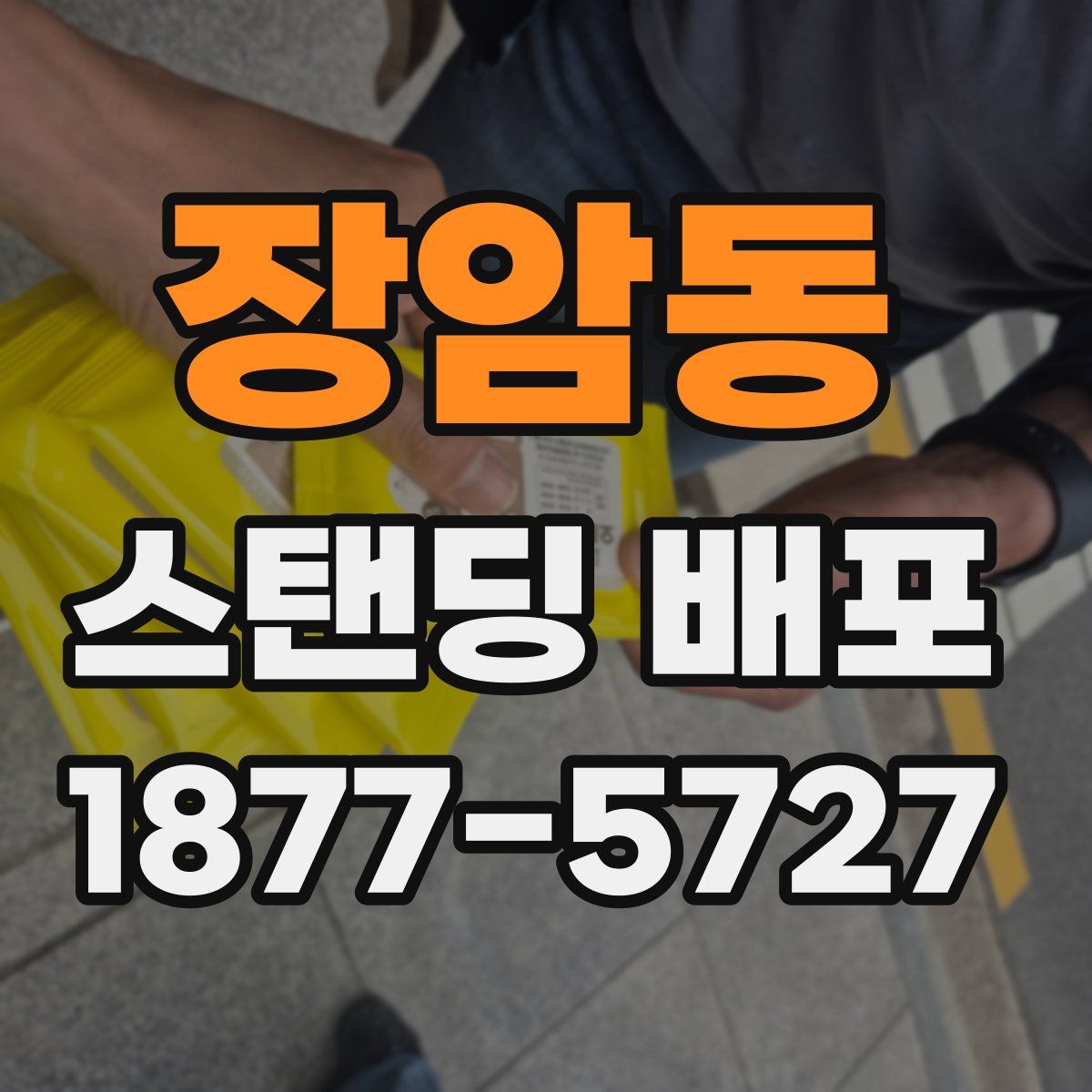 장암동 스탠딩 배포