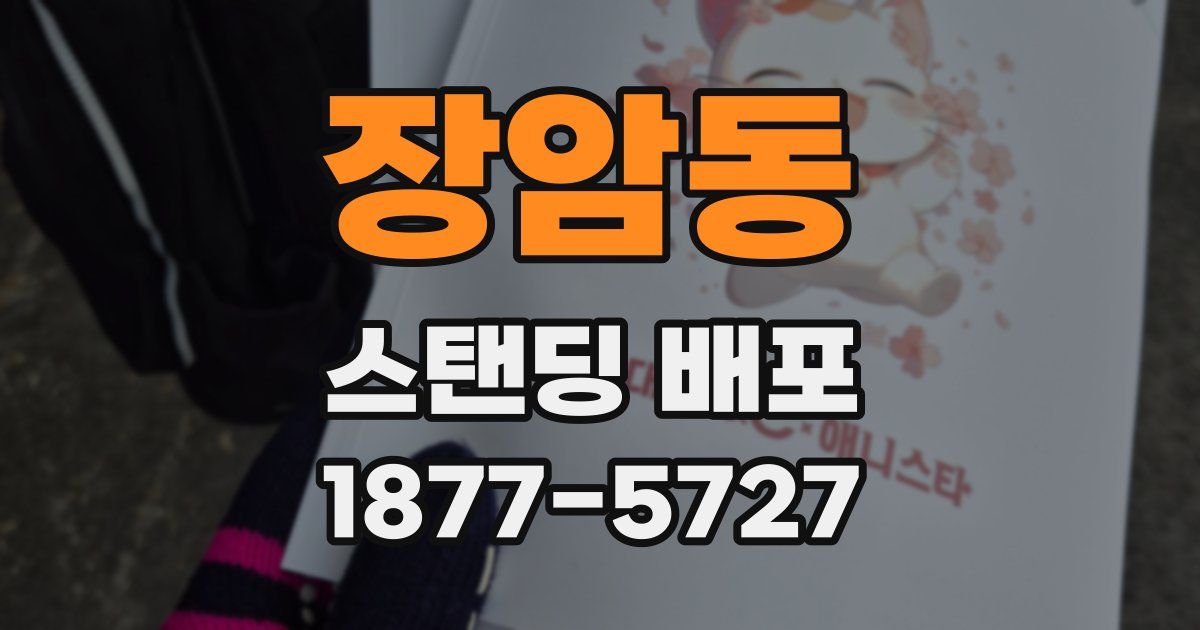 장암동 스탠딩 배포