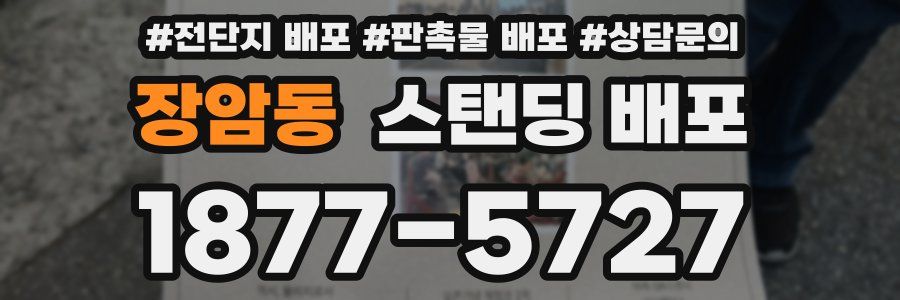 장암동 스탠딩 배포