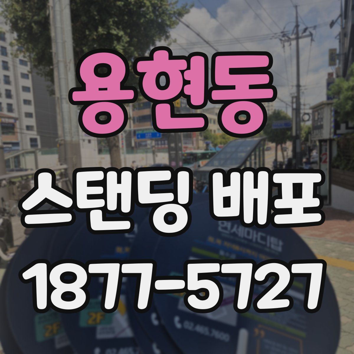 용현동 스탠딩 배포