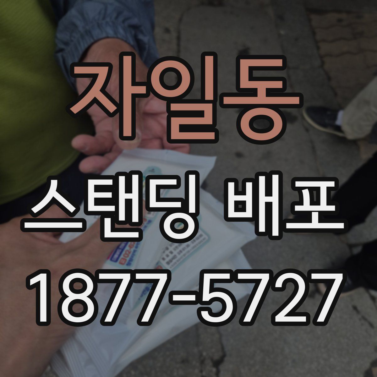 자일동 스탠딩 배포