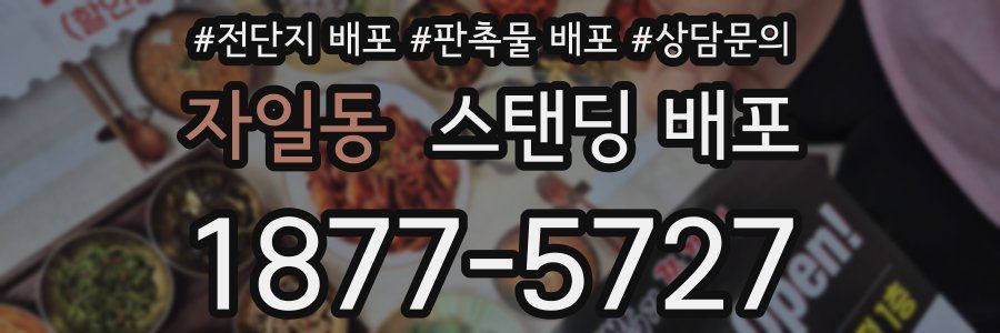 자일동 스탠딩 배포