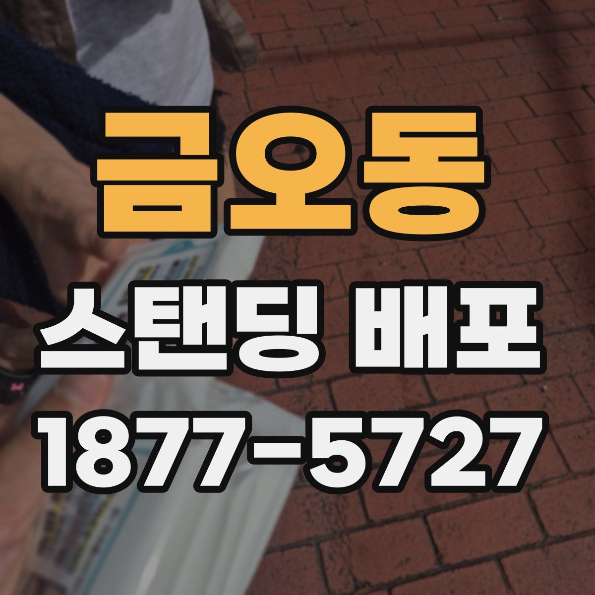금오동 스탠딩 배포