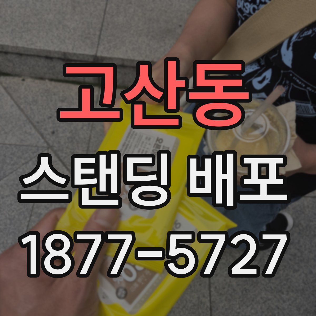 고산동 스탠딩 배포