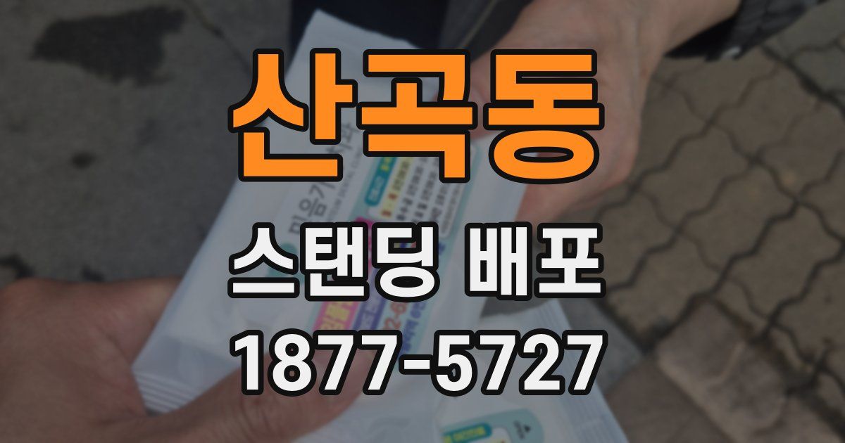 산곡동 스탠딩 배포
