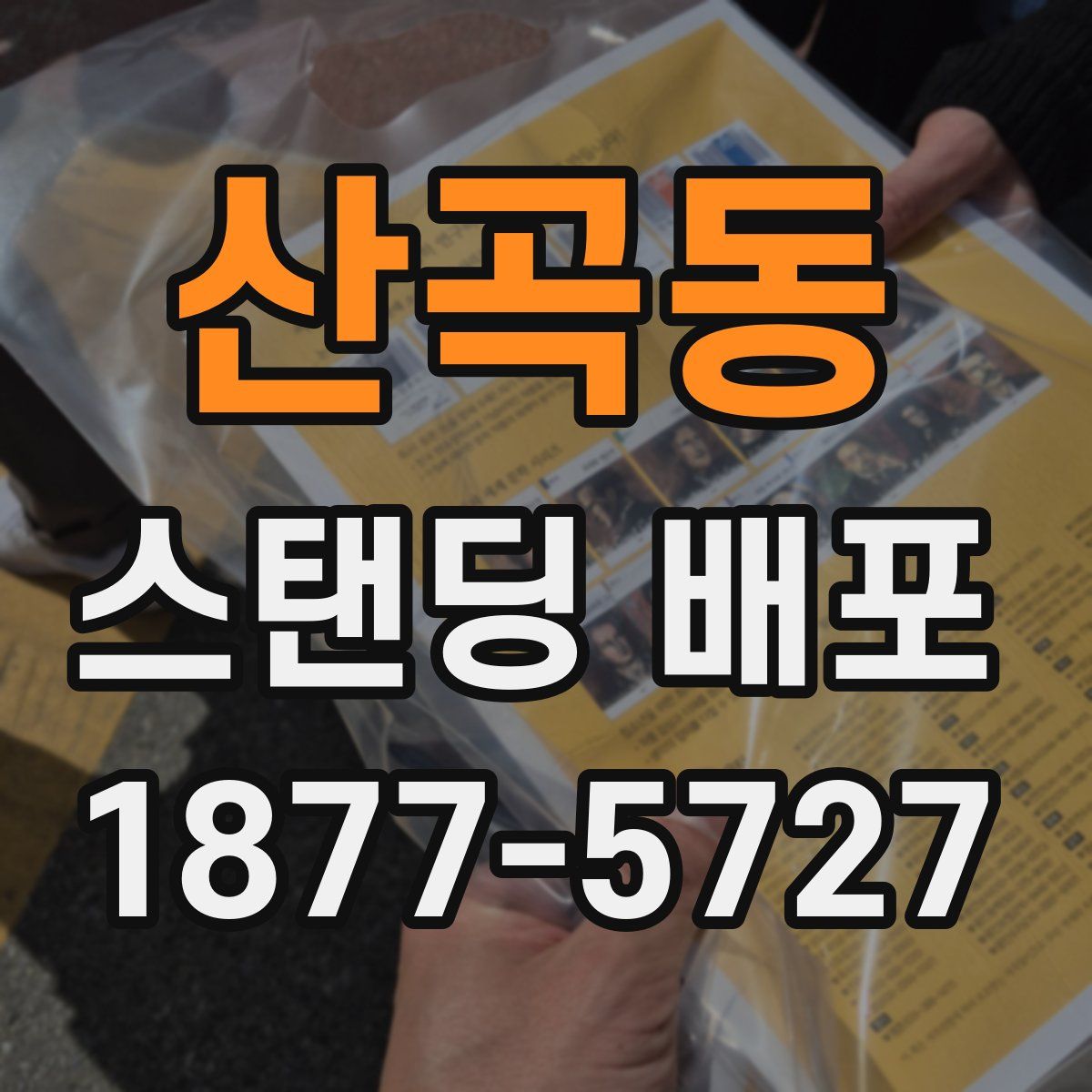 산곡동 스탠딩 배포