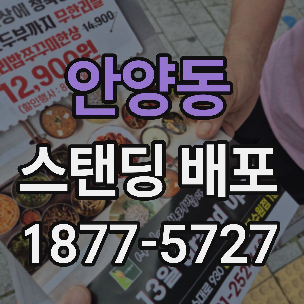 안양동 스탠딩 배포
