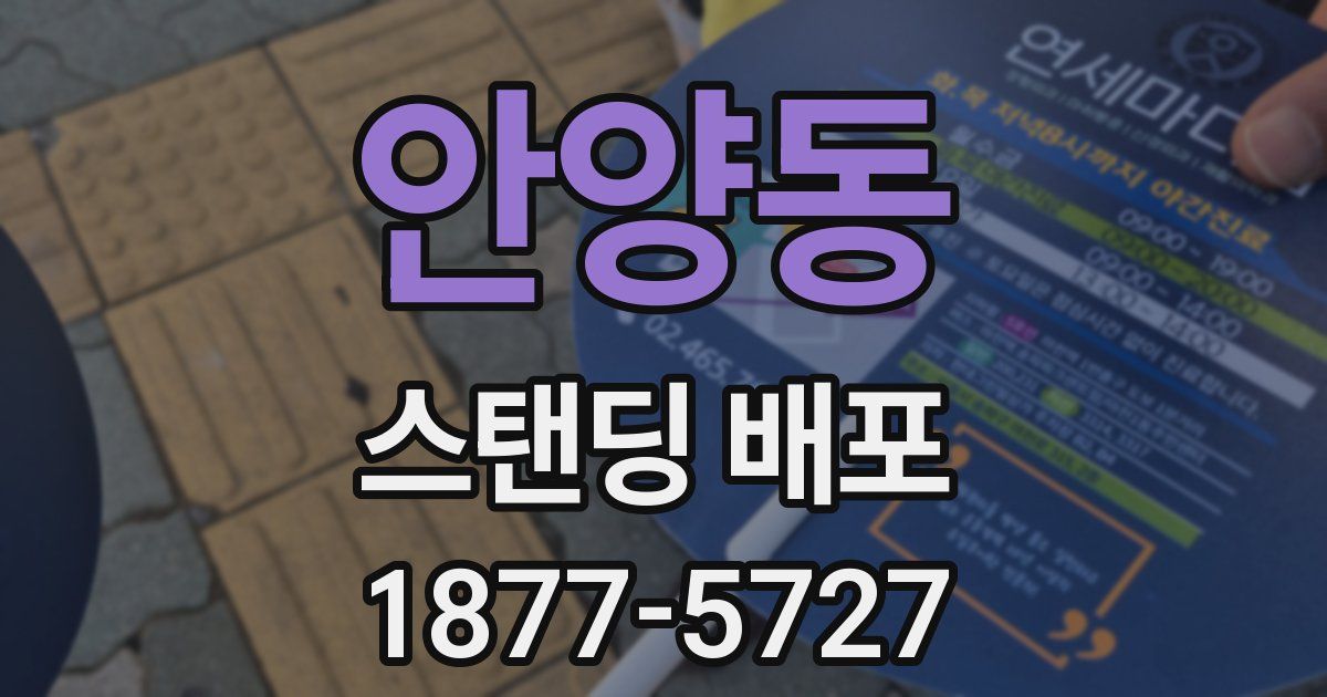 안양동 스탠딩 배포
