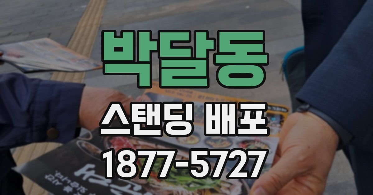 박달동 스탠딩 배포