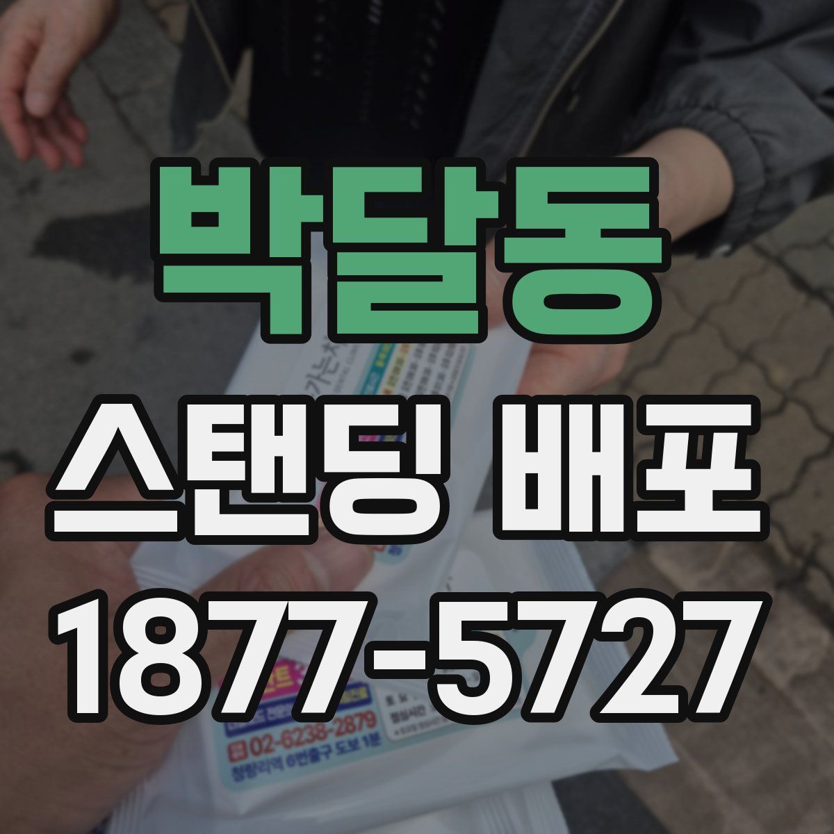 박달동 스탠딩 배포