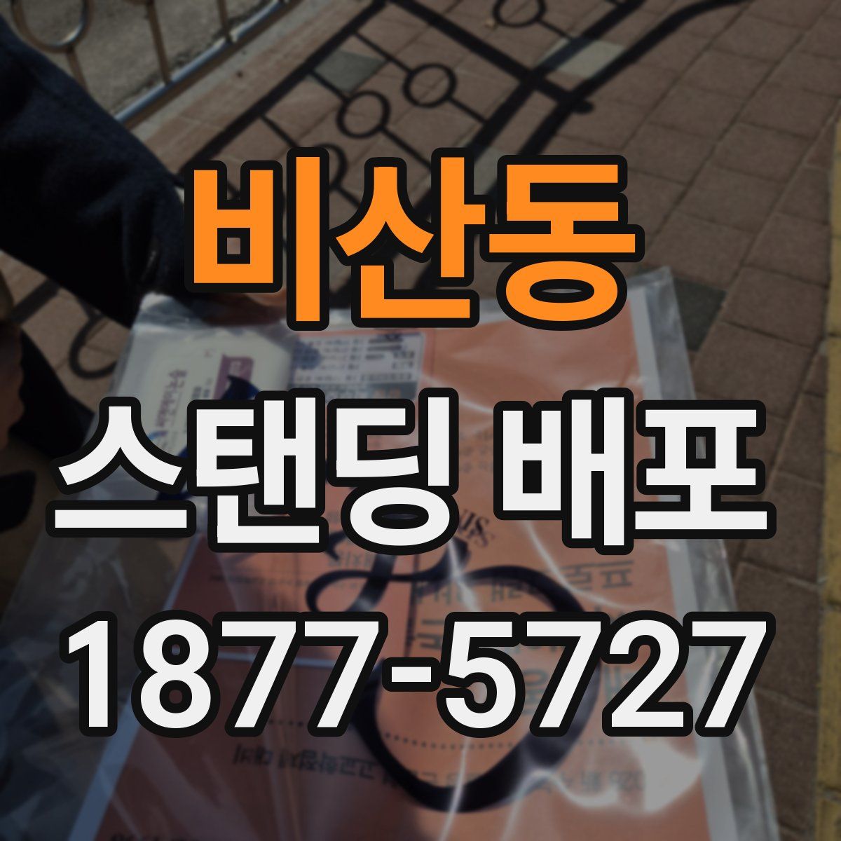 비산동 스탠딩 배포